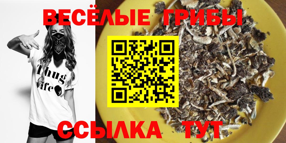 Сафоново  Галлюциногенные грибы GOLDEN TEACHER  Вход с VPN 