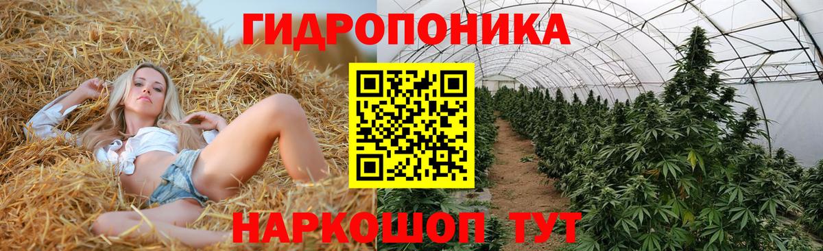 Конопля AK-47 Сафоново